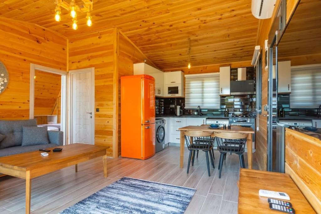 Villa Zeytin Havuzlu Jakuzili 페티예 외부 사진