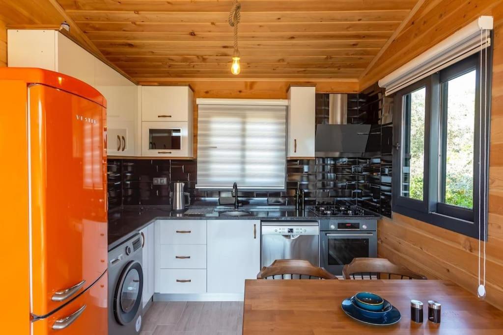 Villa Zeytin Havuzlu Jakuzili 페티예 외부 사진
